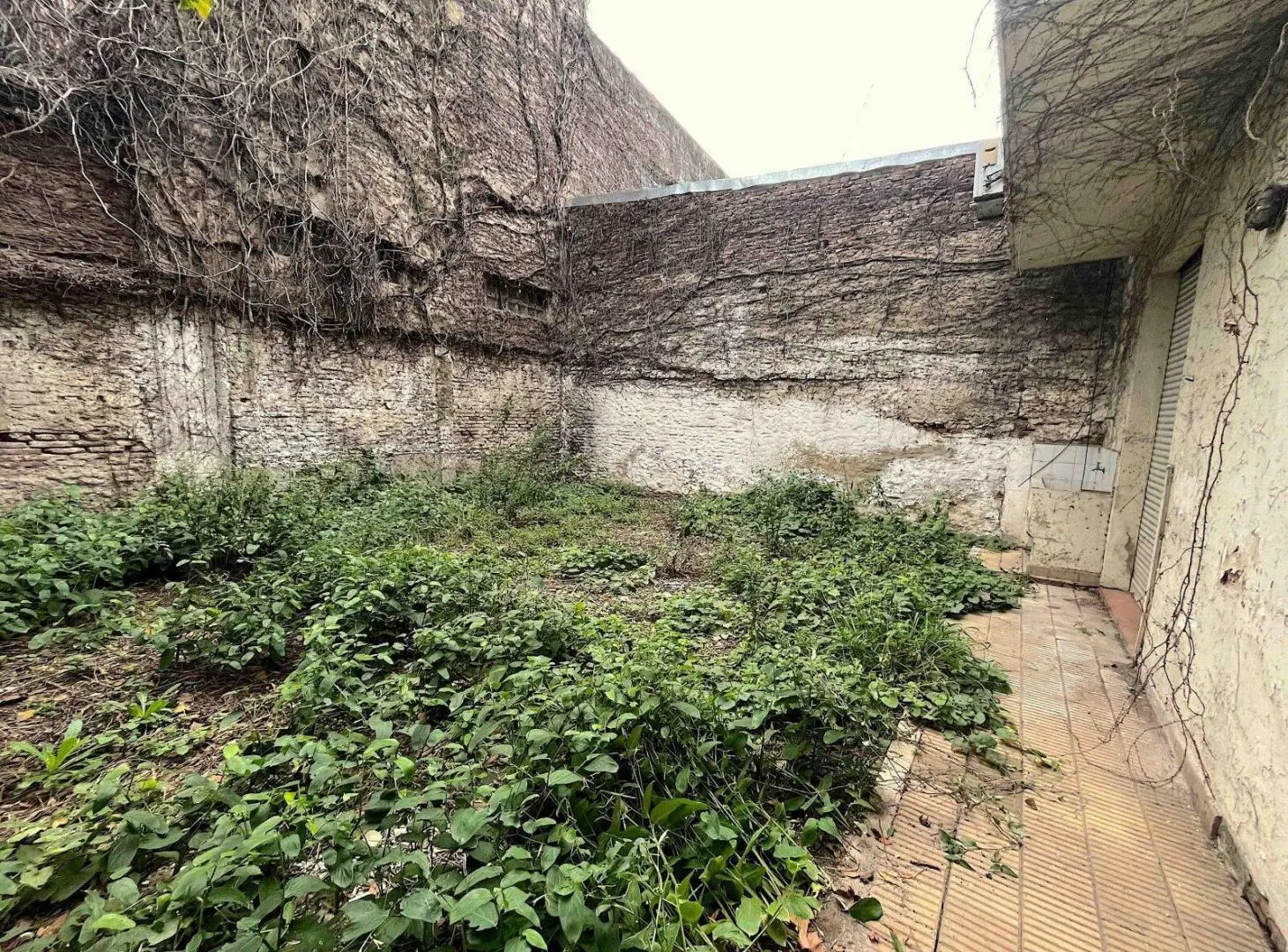 PH 6 amb con jardín y cochera a reciclar en Villa General Mitre 2