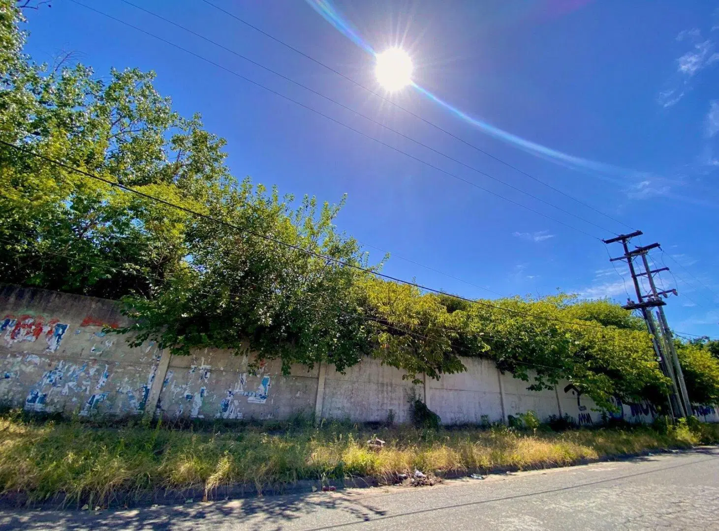 VENTA LOTE LANUS 3000m2 TERRENO CON ARBOLES, SOLIDO MURO Y PORTON 3