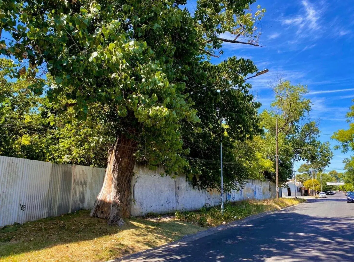 VENTA LOTE LANUS 3000m2 TERRENO CON ARBOLES, SOLIDO MURO Y PORTON 5