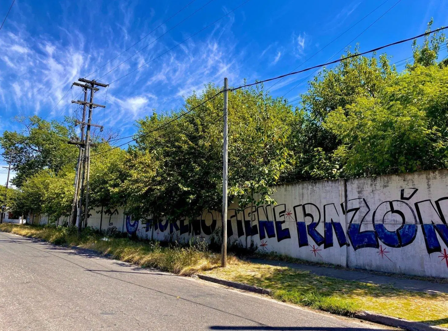 VENTA LOTE LANUS 3000m2 TERRENO CON ARBOLES, SOLIDO MURO Y PORTON 4
