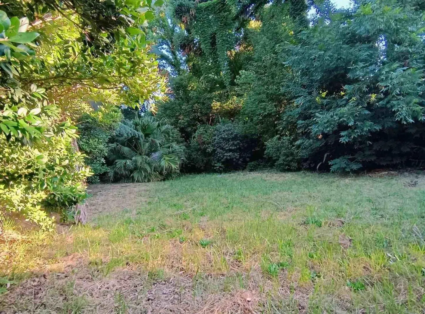 LOTE PREMIUM 1.097 m² – LAS LOMAS DE SAN ISIDRO 5