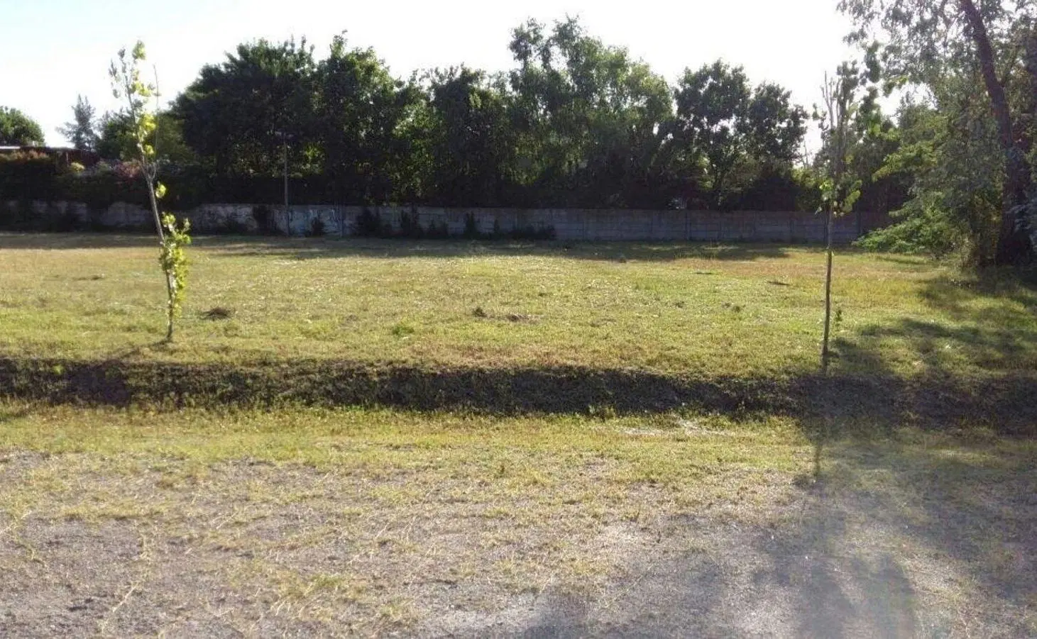 Venta lote Barrio cerrado El Alamo Benavidez 700m2 escriturable sin expensas 4