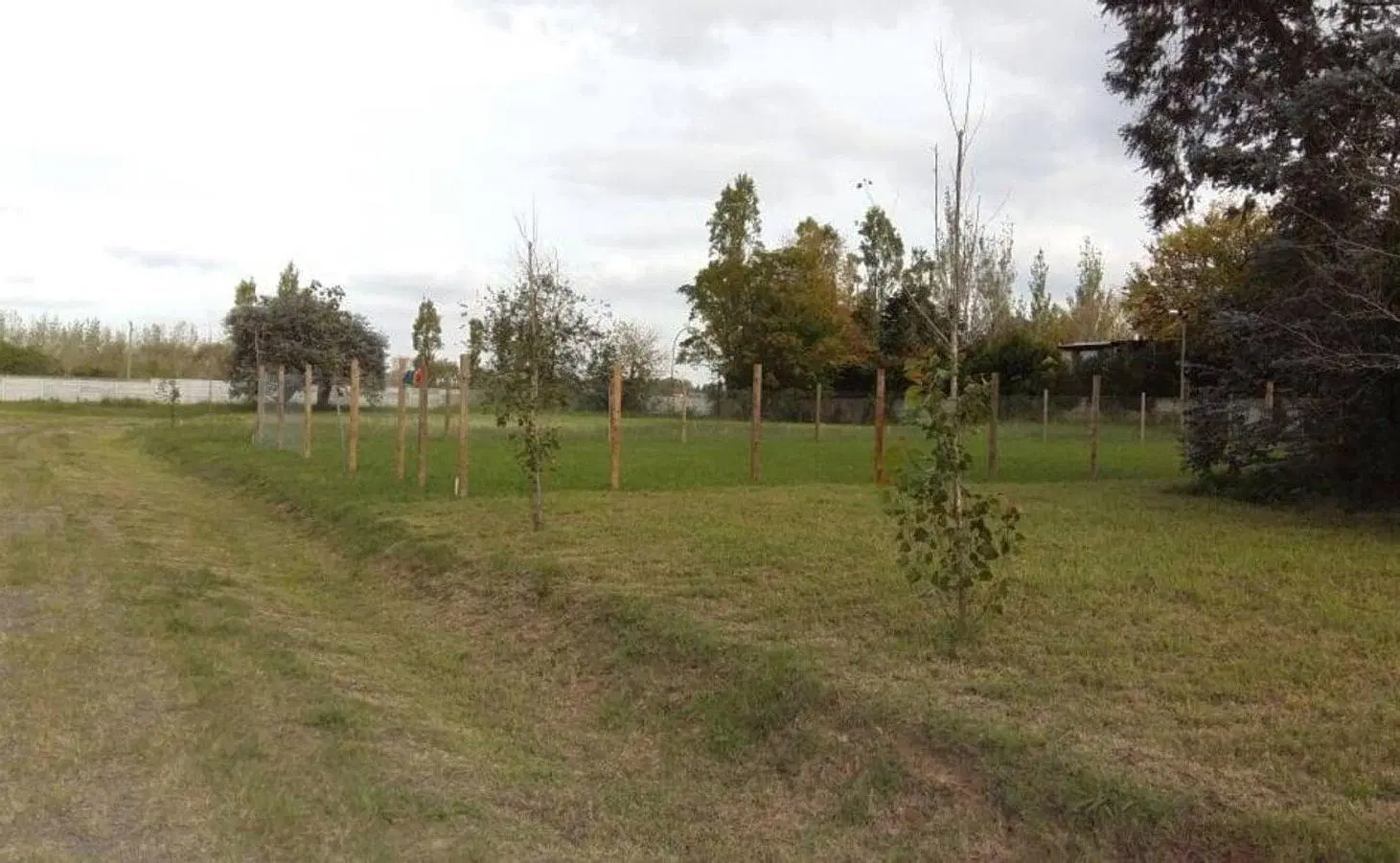 Venta lote Barrio cerrado El Alamo Benavidez 700m2 escriturable sin expensas 3