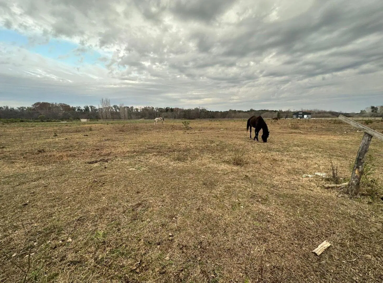 Terreno en venta en Haras Argentino Farm Club 5