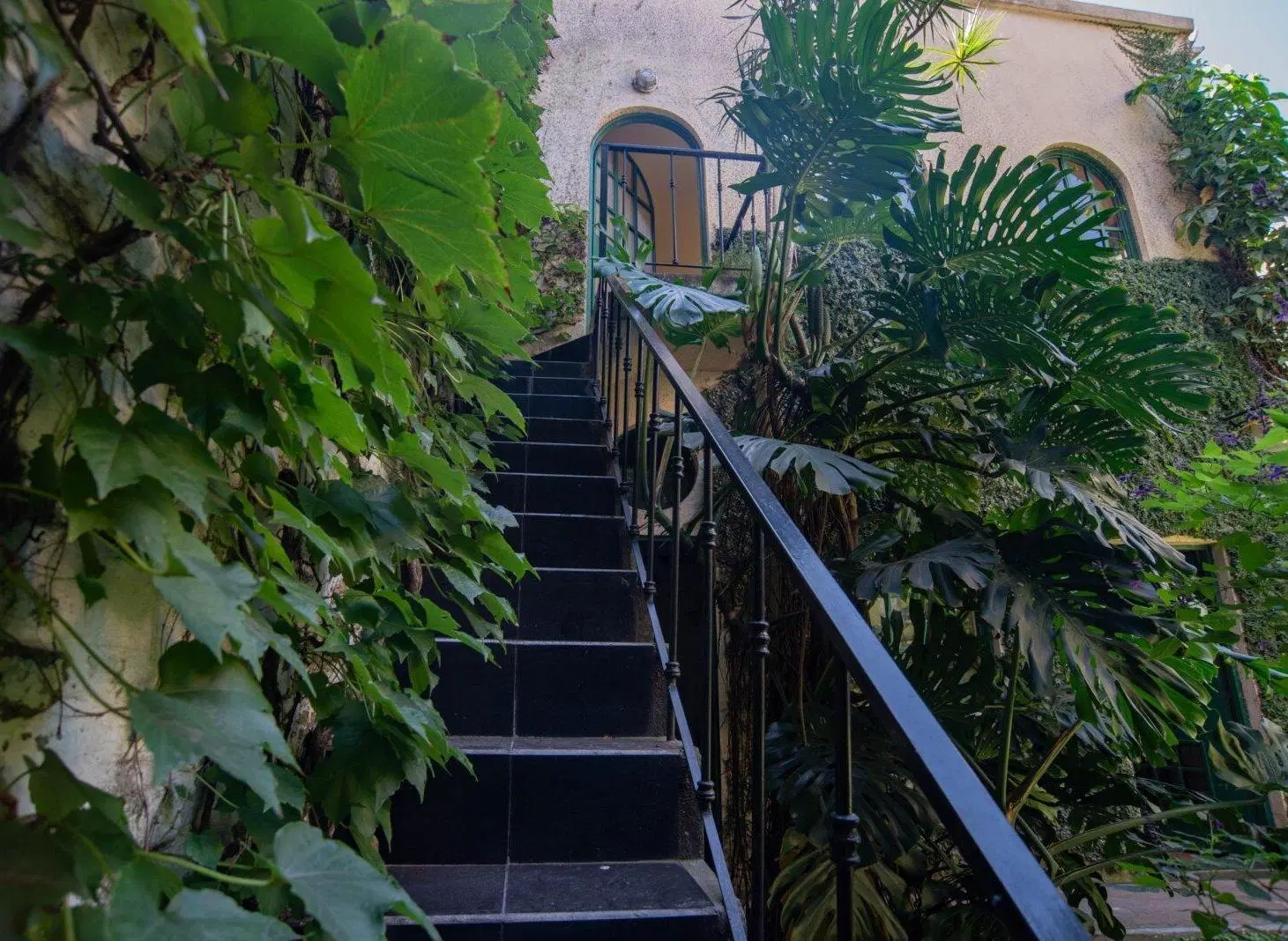 Venta casa con Jardin terraza y patio 8