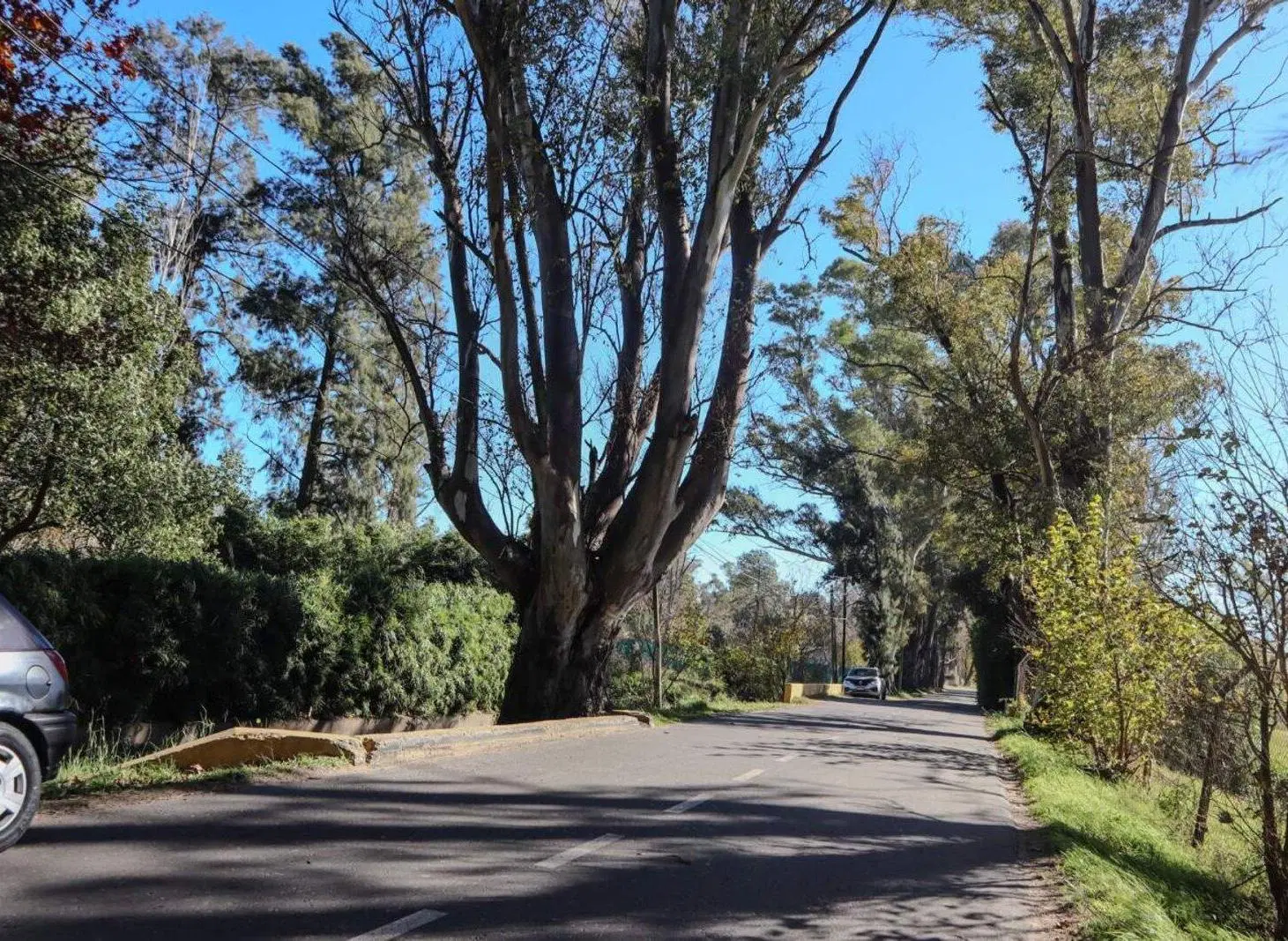 Venta Casa Quinta / 6.000 m2 / Calle Saravi, La Lonja Pilar/ con Pileta y Quincho 4