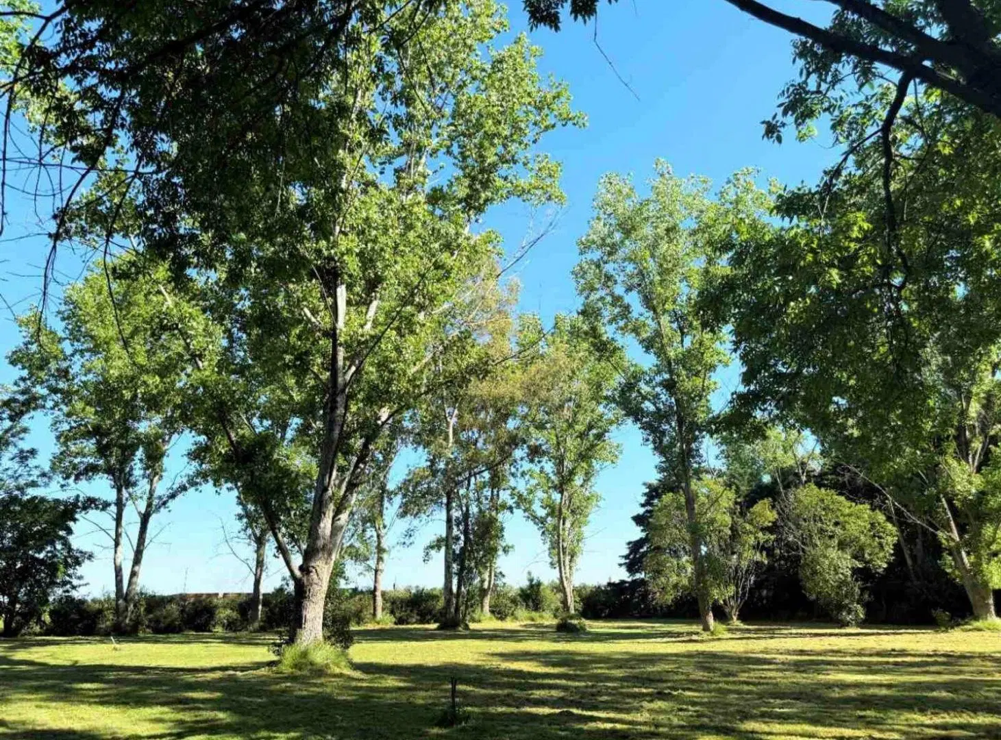 Venta / Terreno /  Pilar 10.500 m2 / Exelente Ubicacion 4