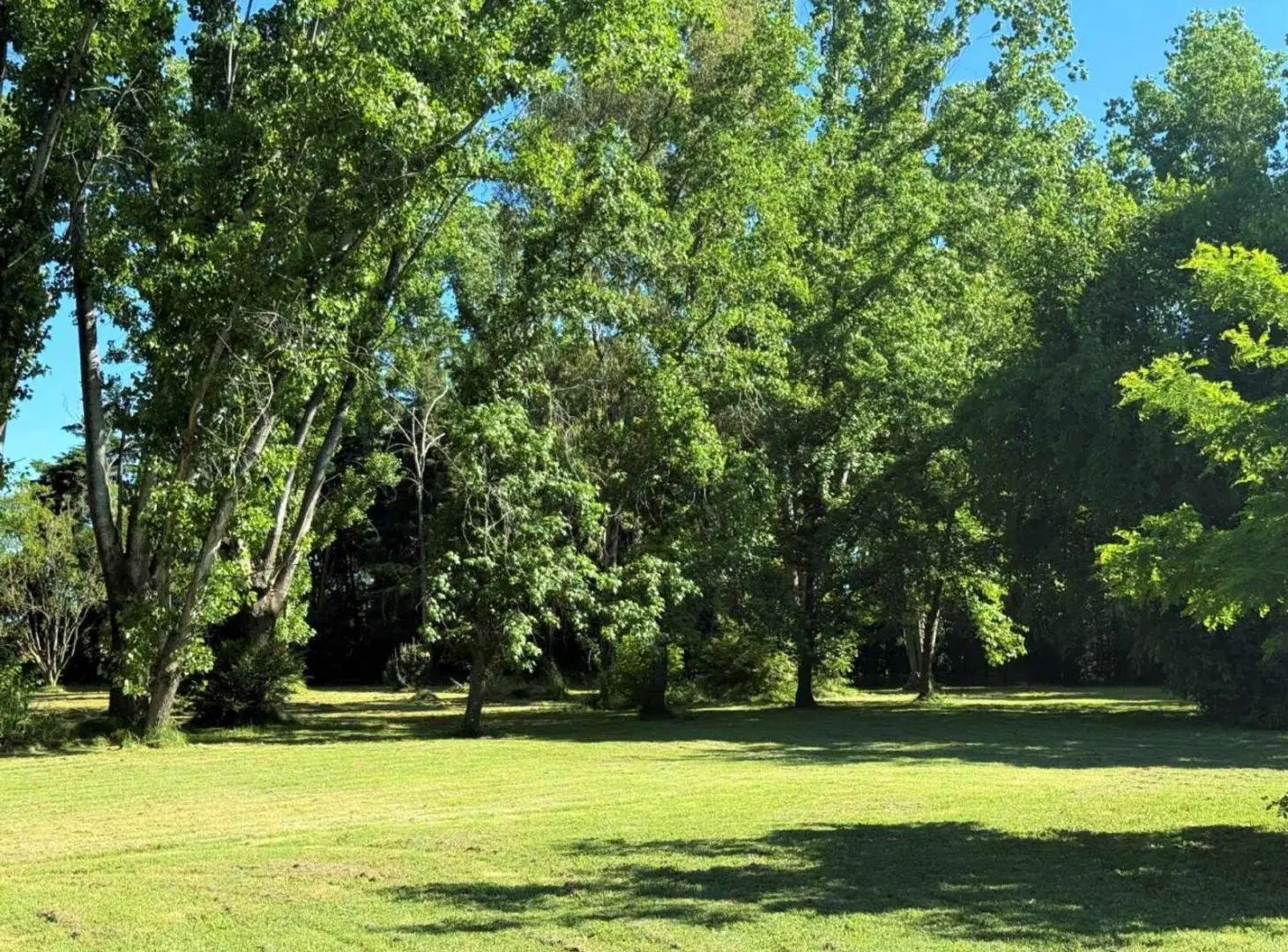 Venta / Terreno /  Pilar 10.500 m2 / Exelente Ubicacion 2