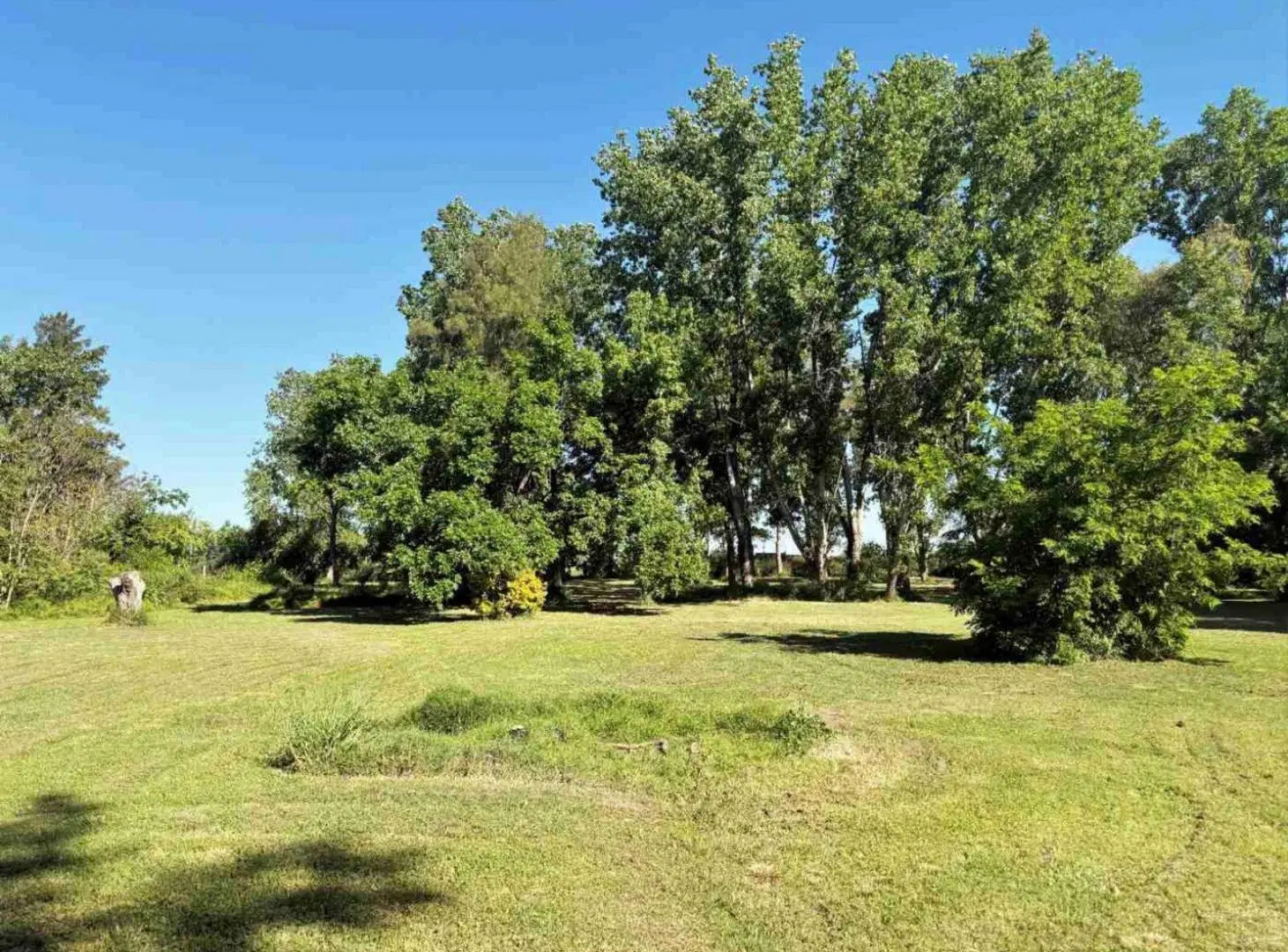 Venta / Terreno /  Pilar 10.500 m2 / Exelente Ubicacion 3