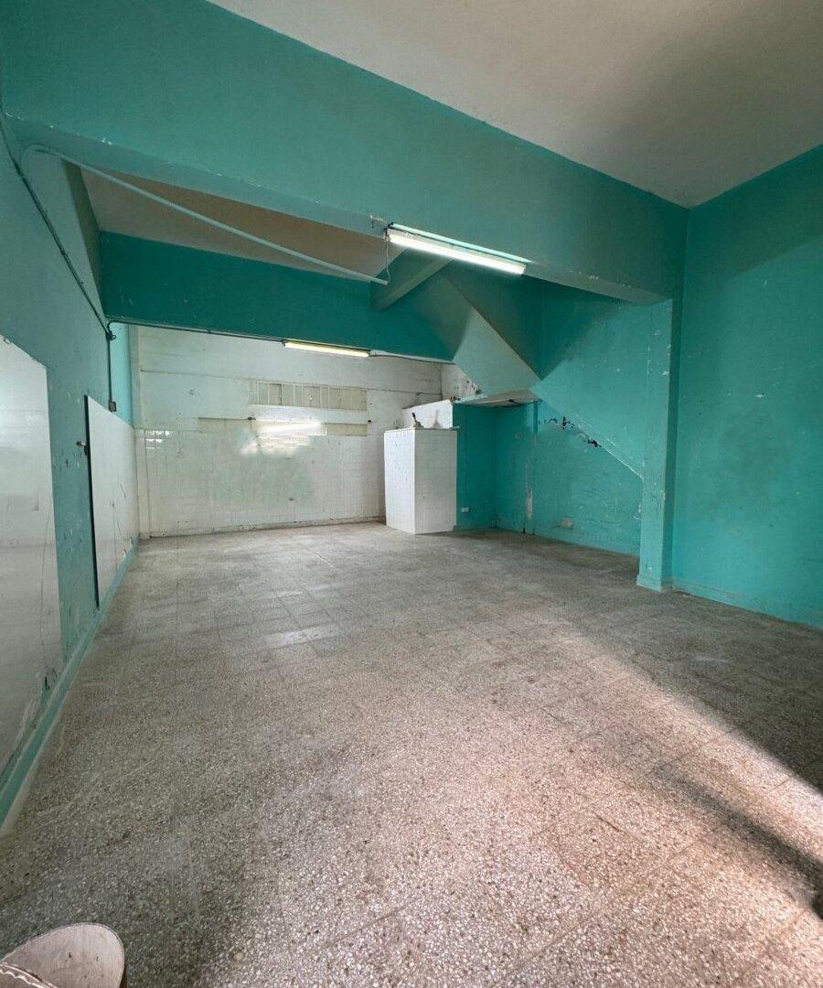 Foto de VENTA GALPON/DEPOSITO INDUSTRIAL LOCAL Y VIVIENDA, imagen 1