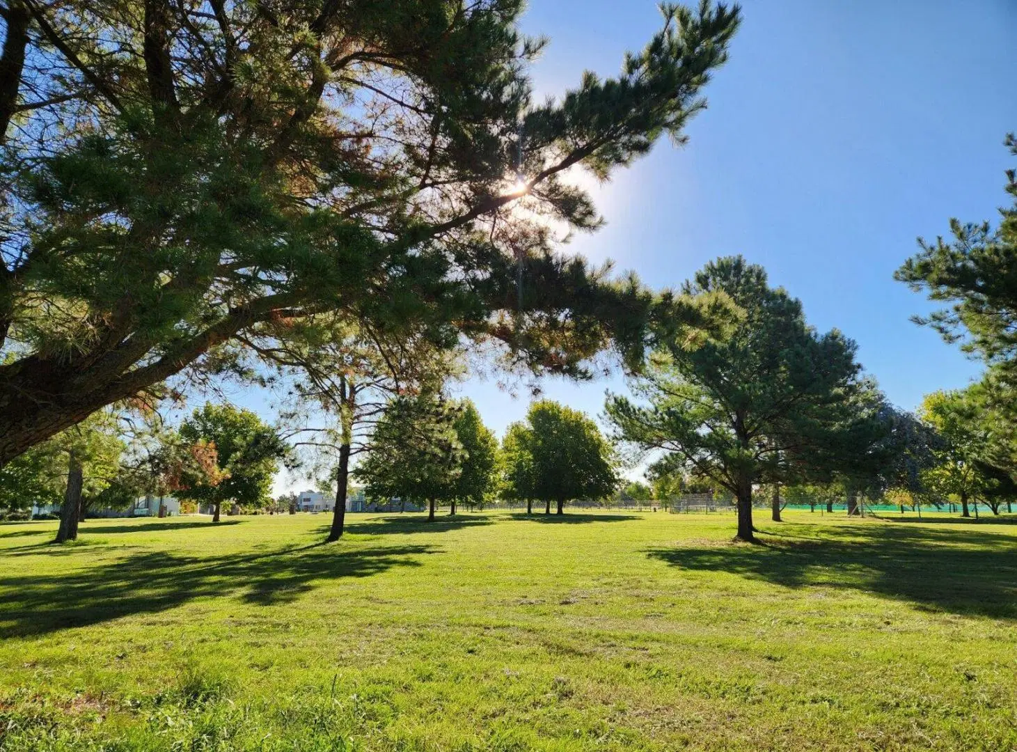 VENTA | LOTE EN MIRABOSQUES – CARDALES 2