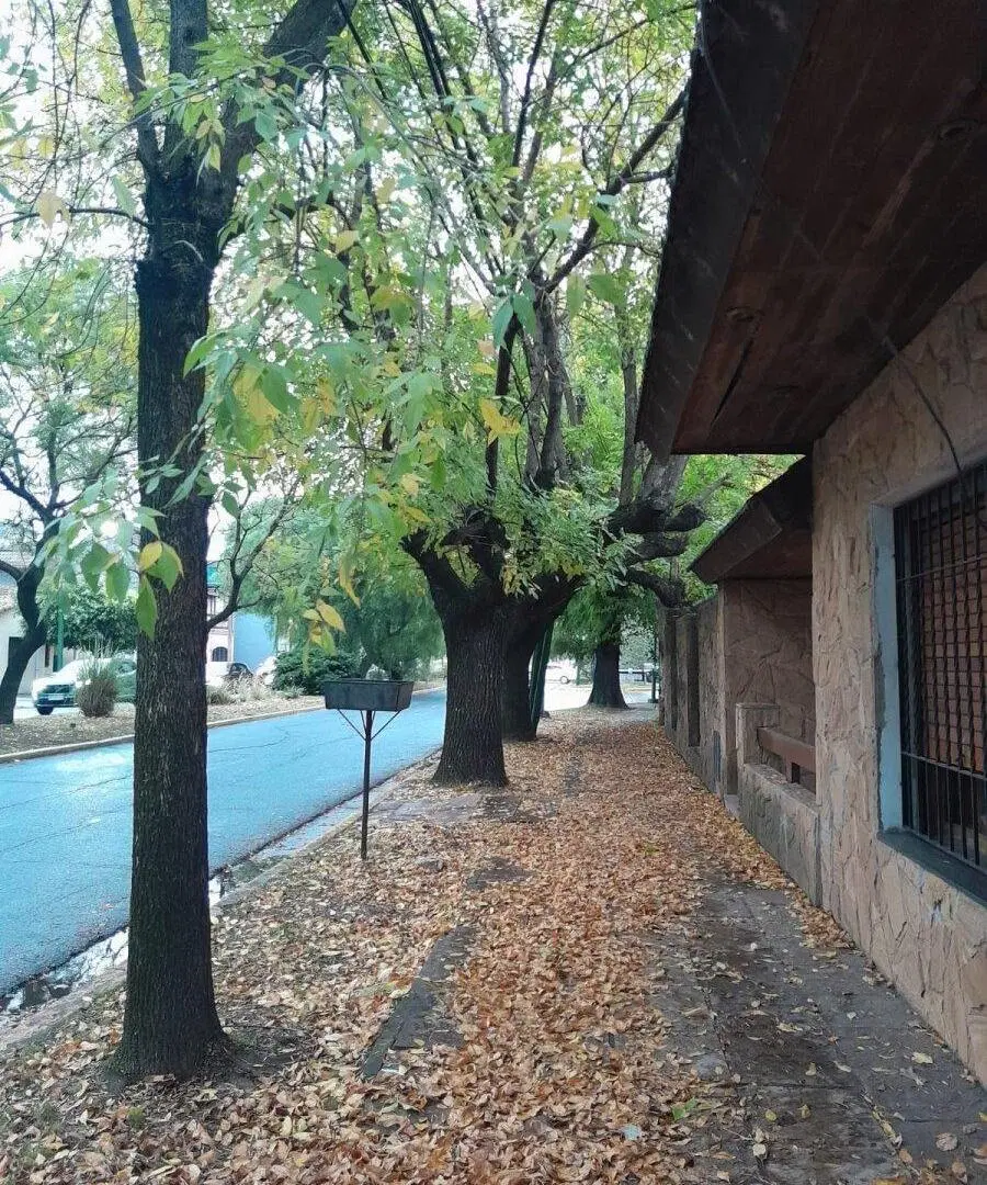 VENTA | LOTE | 375 M2 |ITUZAINGÓ NORTE |SOBRE AV. RATTI | ALTA EXPOSICIÓN 5