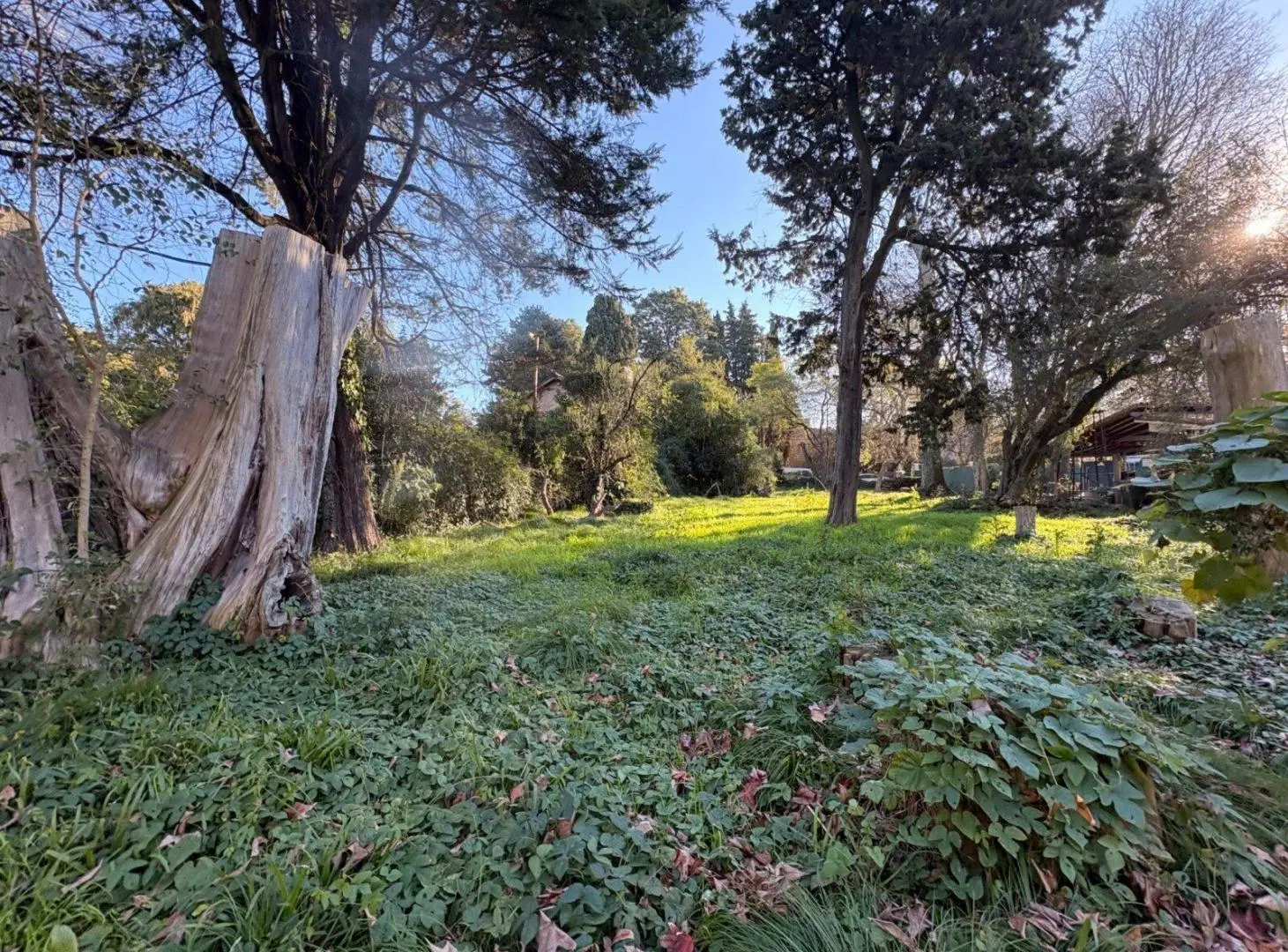 VENTA LOTE 2