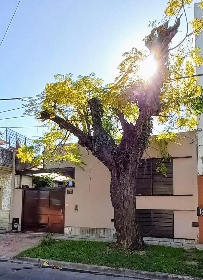 CASA 5 AMB JARDIN PILETA Y COCHERA - V. BALLESTER 2