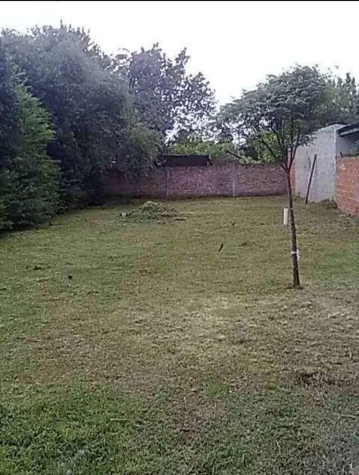 Venta Casa 3 Amb Cochera Gran Fondo Paso del Rey 5