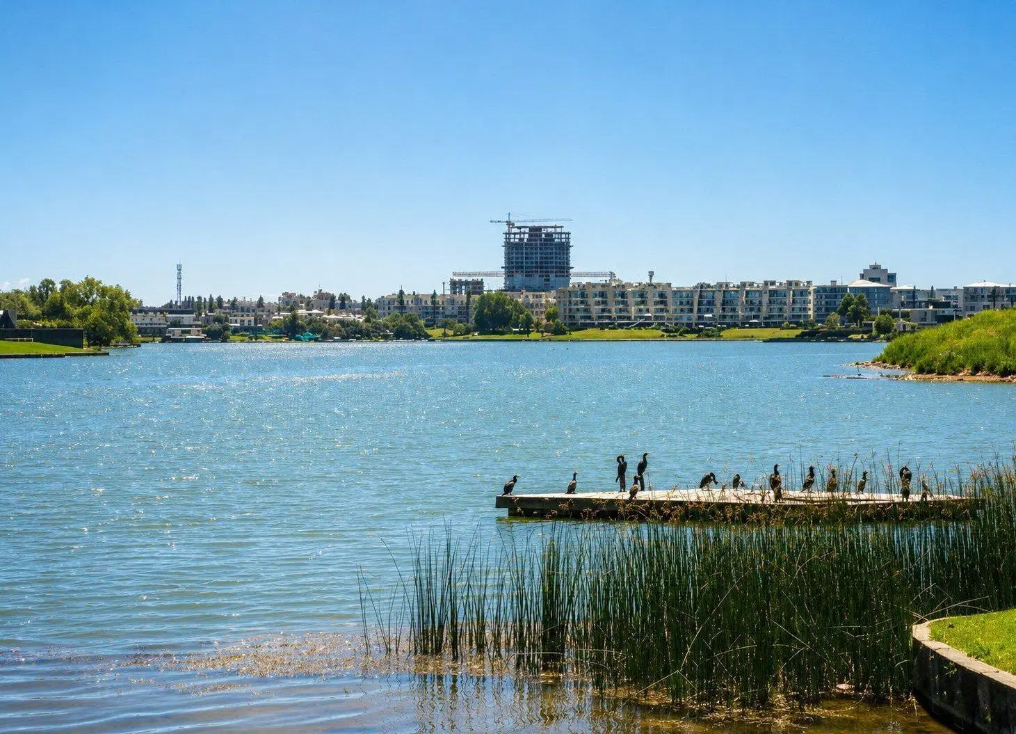 LOTE A LAGUNA EN VENTA | BARRIO SILVESTRE – NORDELTA 5