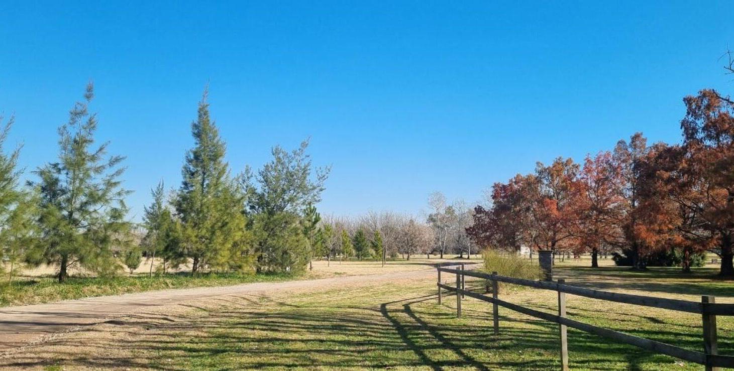 Foto de LOTE EN VENTA EN LA ORACION-LUJÁN-MÁS DE 15000 M2, imagen 5