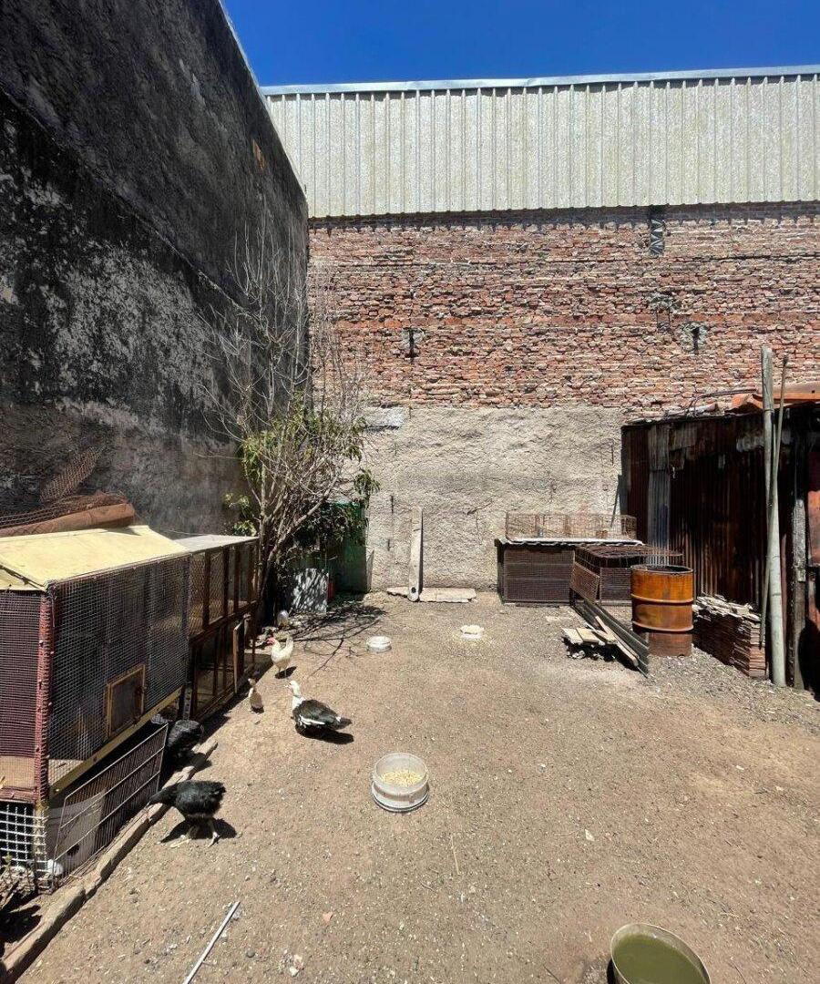 Foto de VENTA -CASA 2 amb.c/JARDIN 2 BAÑOS GALPON Y TALLER-V.BALLESTER, imagen 2