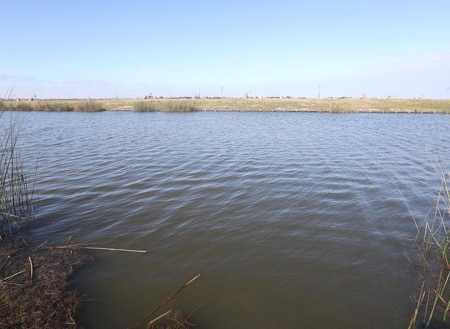 Foto de Exclusivo Lote al agua en venta - Barrio Orillas, Puertos., imagen 4