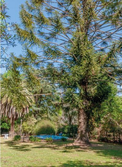 Foto de Lote de 4.162 m² con Doble Frente en Pilar – Zona U-R2B, imagen 1