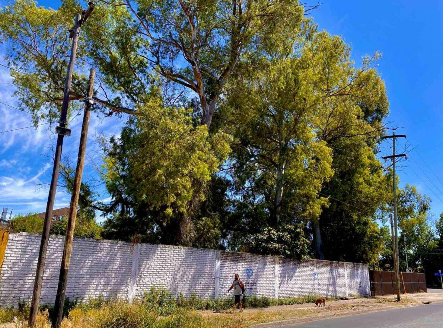 Foto de VENTA LOTES en MONTE CHINGOLO LANUS ZONA SUR 2338m2 DE TERRENO, imagen 3