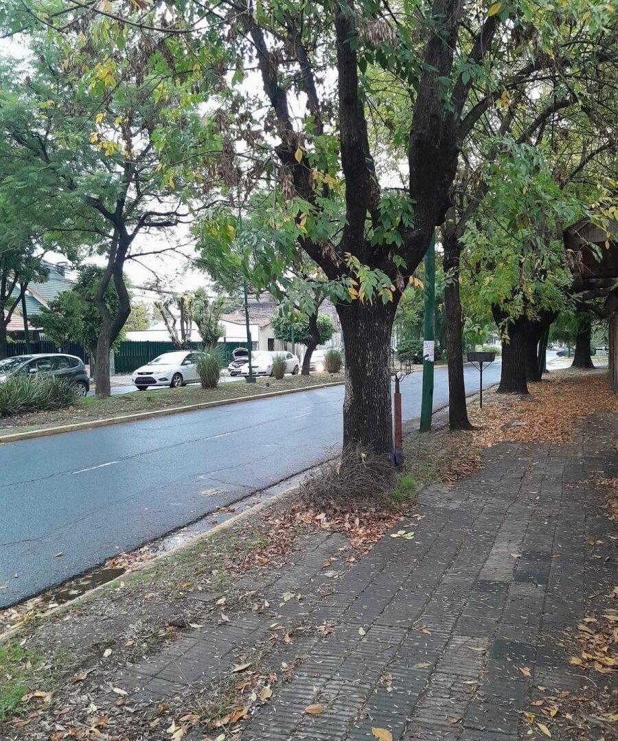 Foto de VENTA|LOTE |375 M2|ITUZAINGO NORTE| 22.43 M DE FRENTE| RESIDENCIAL, imagen 3