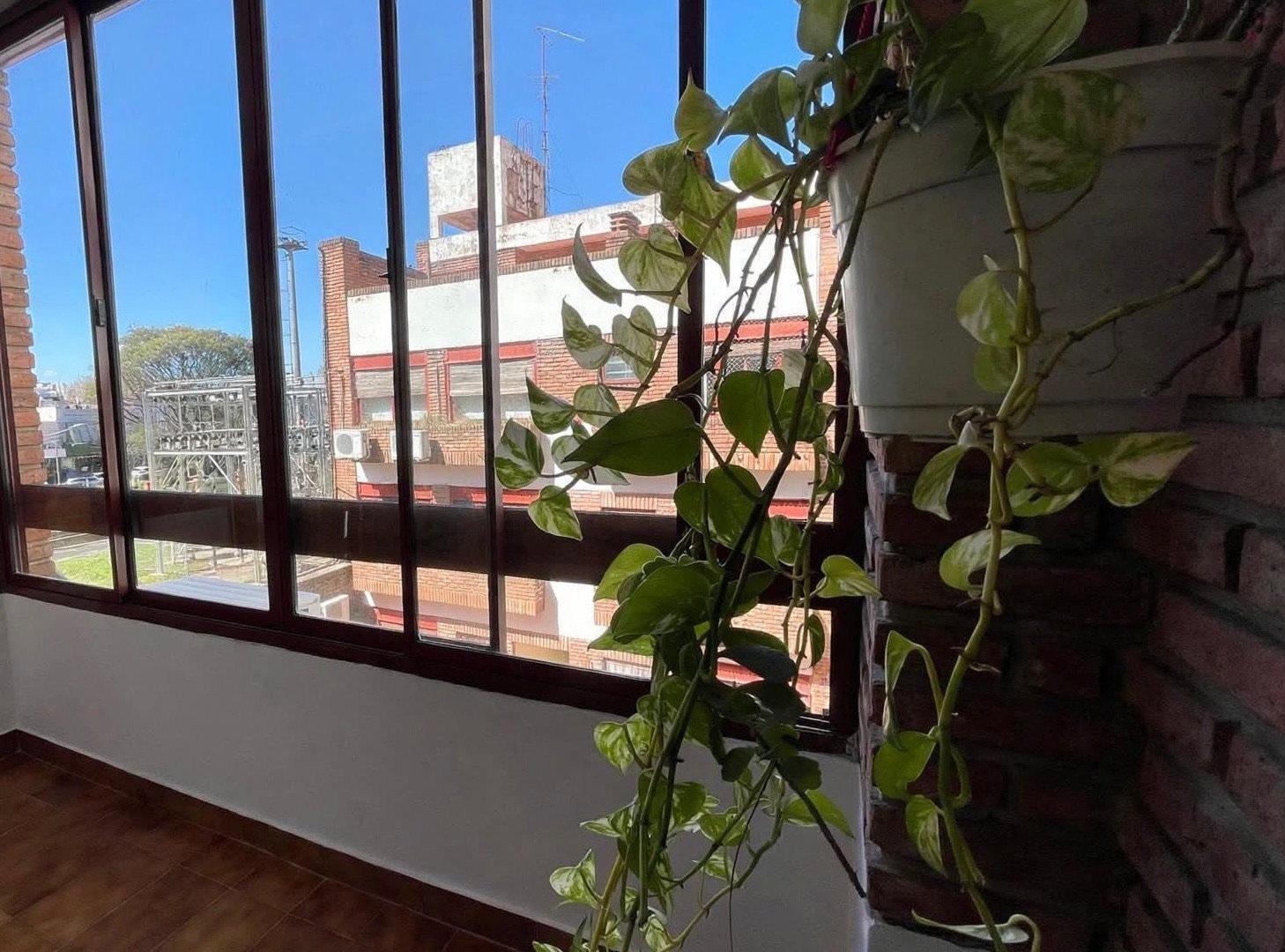Foto de ALQUILER DEPARTAMENTO 2 AMBIENTES CON COCHERA CENTRO DE MARTINEZ, imagen 4