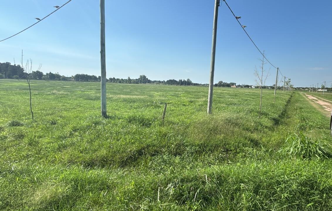 Foto de Venta lote lobos barrio Don Felipe, imagen 3