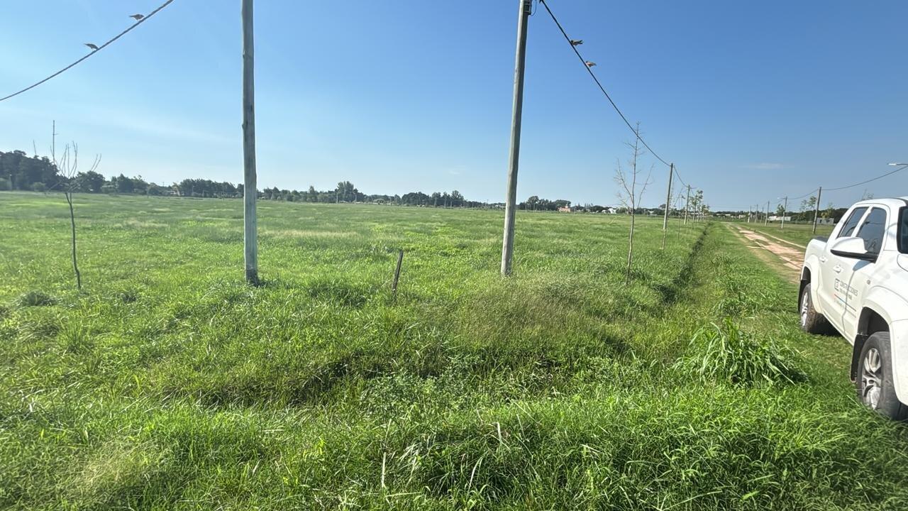 Foto de Venta lote lobos barrio Don Felipe, imagen 4
