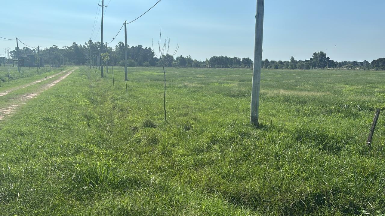 Foto de Venta lote lobos barrio Don Felipe, imagen 5