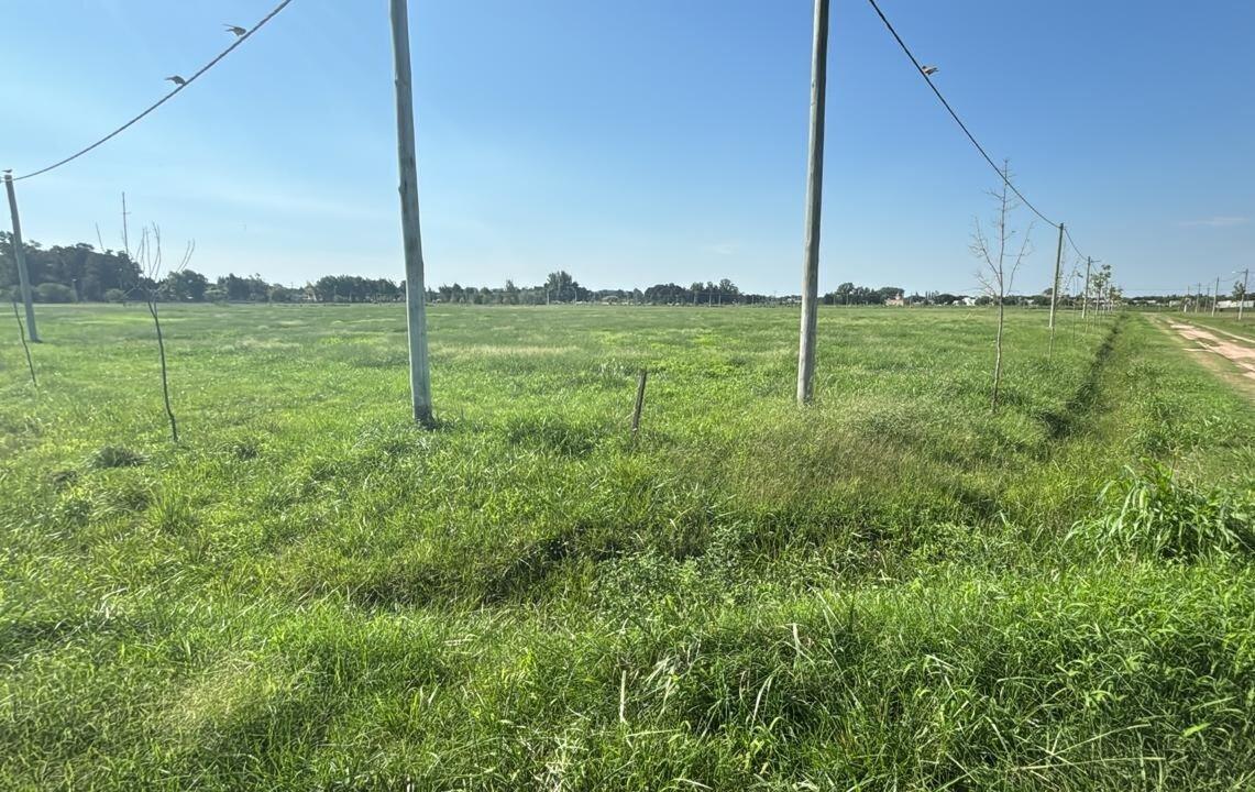 Foto de Venta lote lobos barrio Don Felipe, imagen 1