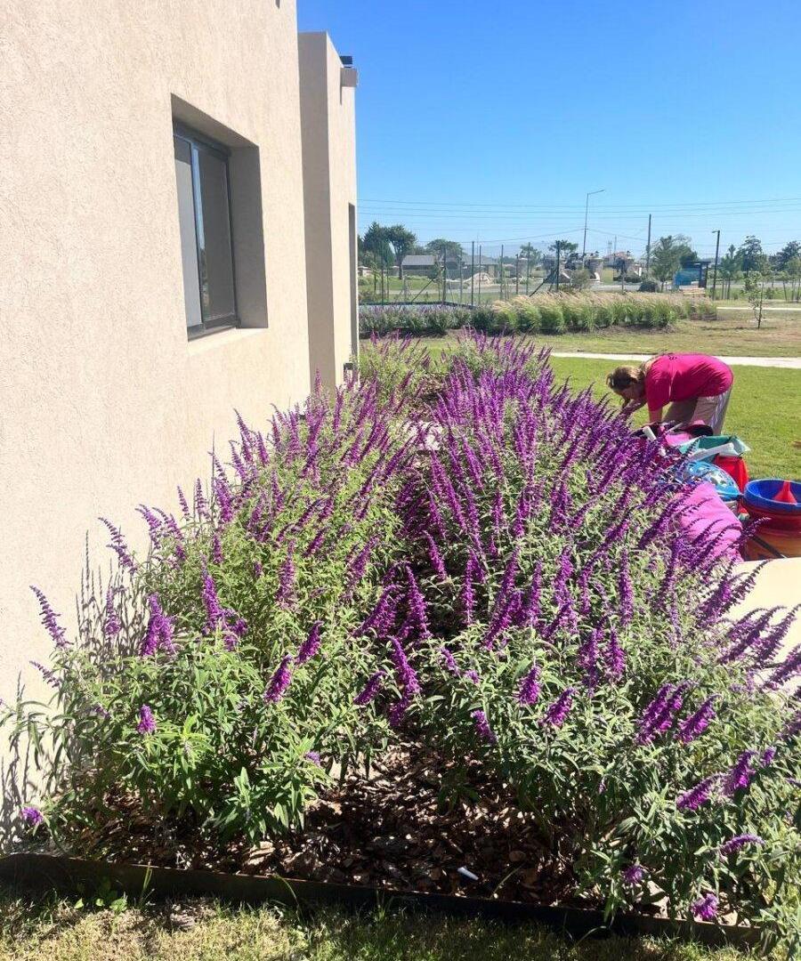 Foto de Venta Lote/Barrio Privado Las Victorias, Canning, imagen 3
