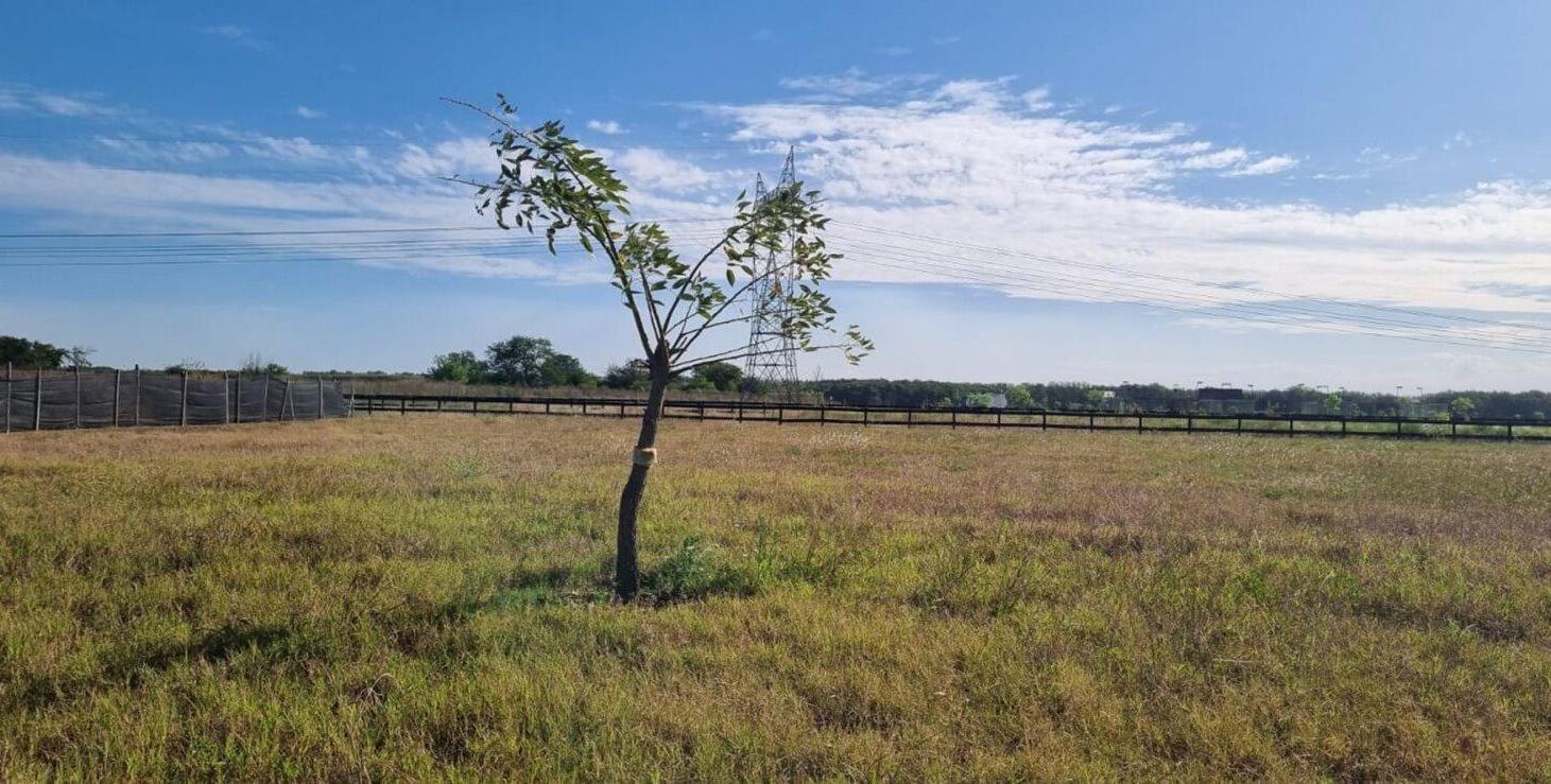 Foto de VENTA LOTE 1922m2 en LAGUNA - Estancias del Pilar, imagen 5