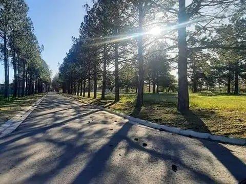 Foto de Lote en barrio Zelaya 2, ubicación estratégica en Pilar, imagen 3