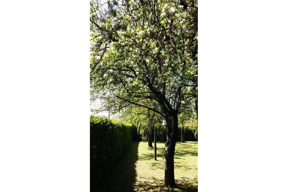 Foto de Quinta en Venta con Pileta y Gran Parque – 1.491 m² – 3 Dormitorios, imagen 3
