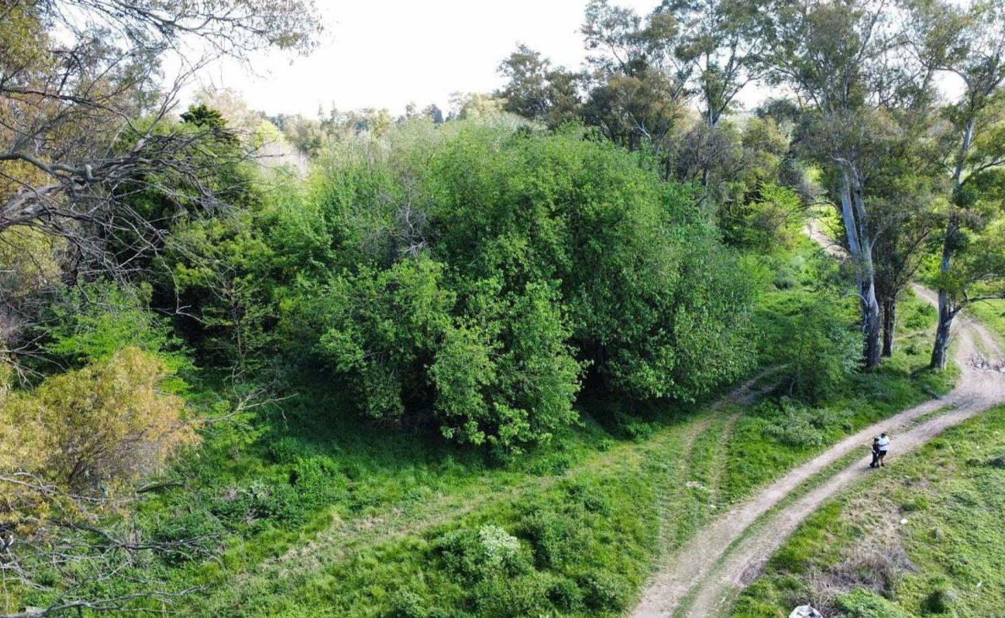 Foto de Venta de lote La Lonja Pilar, imagen 4