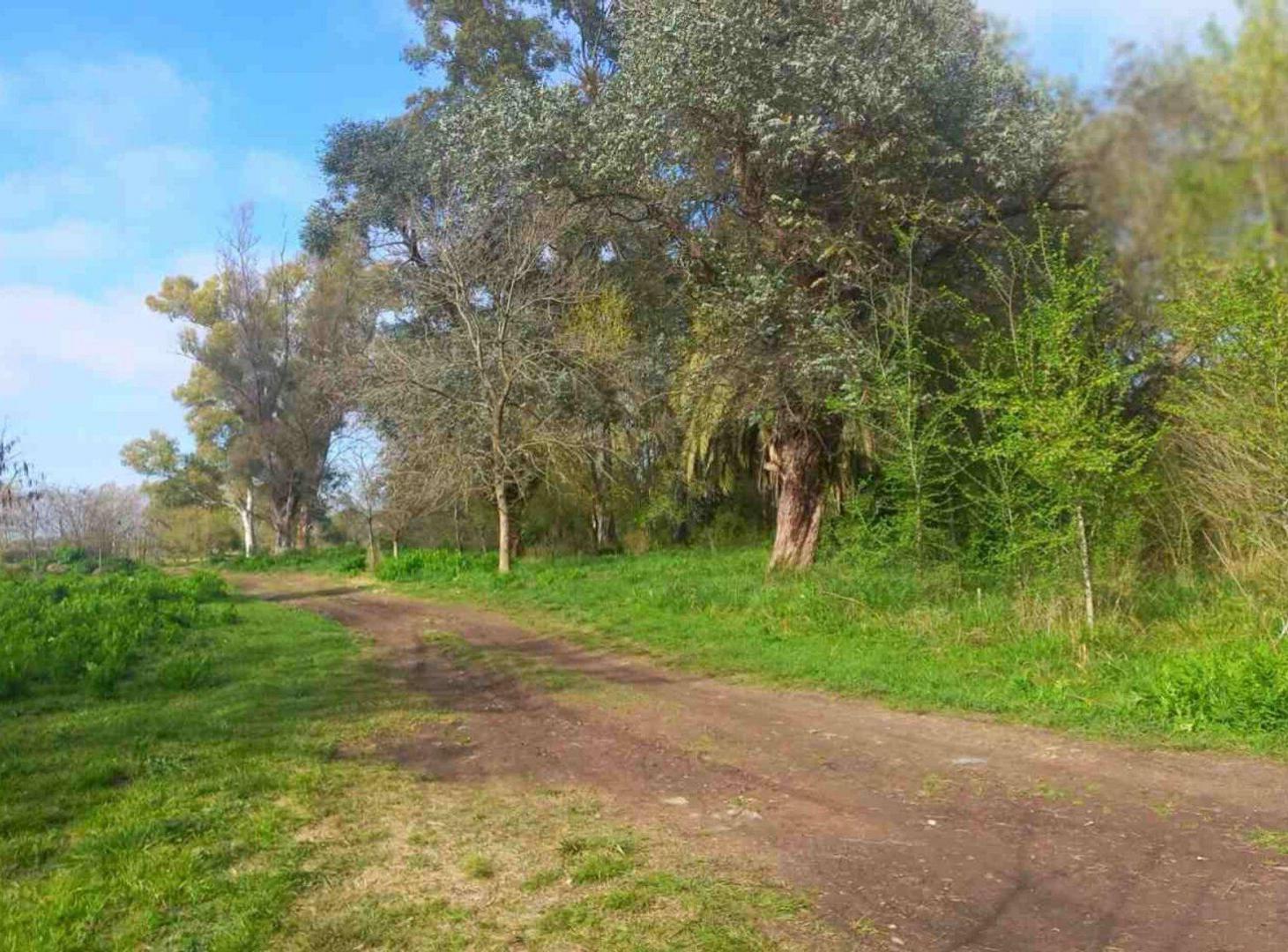 Foto de Venta de lote La Lonja Pilar, imagen 5