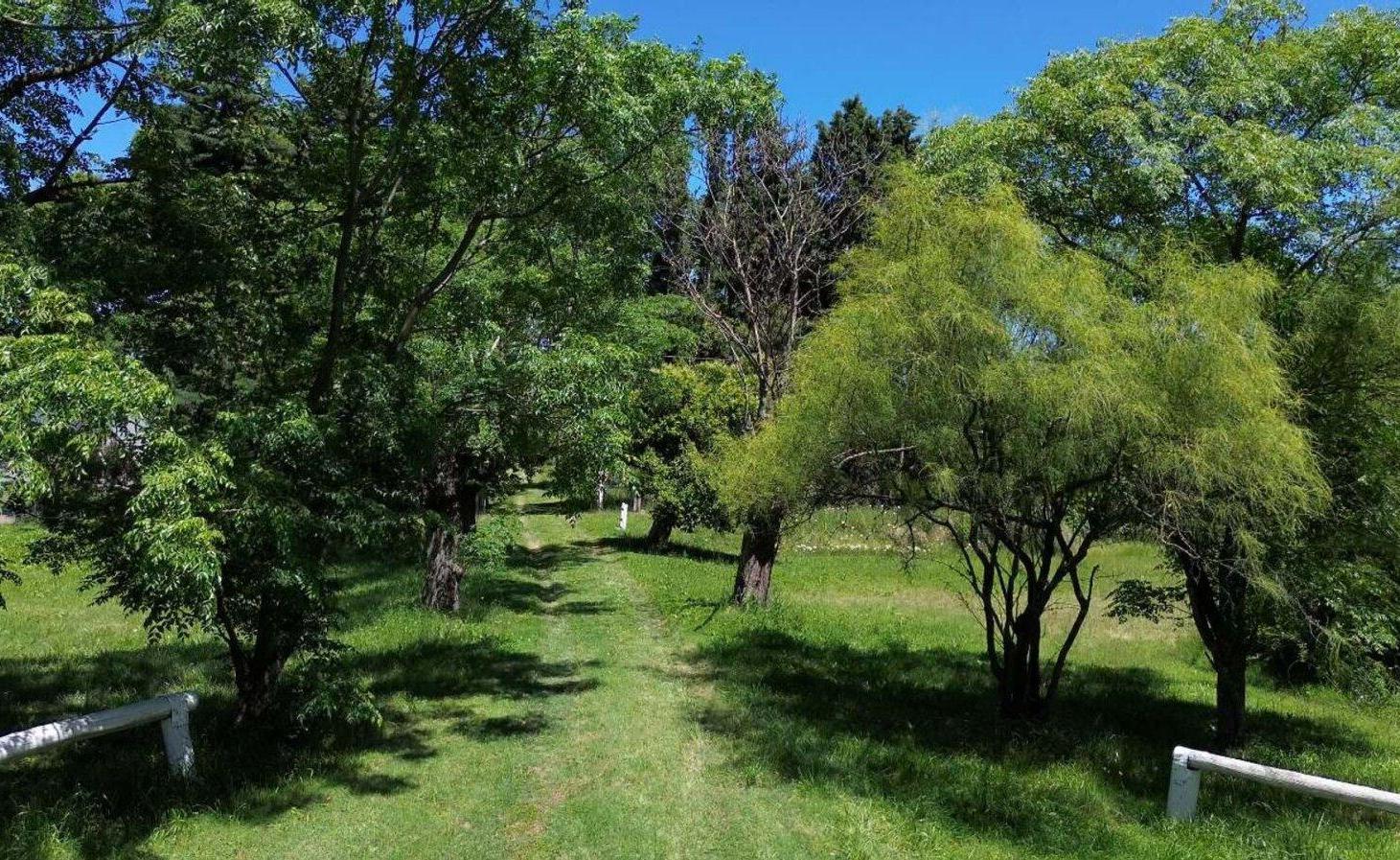 Foto de VENTA CHACRA CAMPO 8.5 Has RUTA 41 MERCEDES, imagen 3