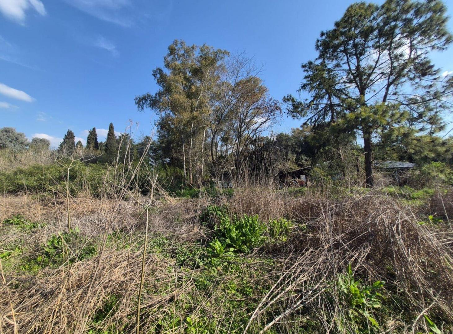 Foto de VENTA AMPLIO LOTE CAÑUELAS RUTA 3 KM 52 IDEAL INV, imagen 5
