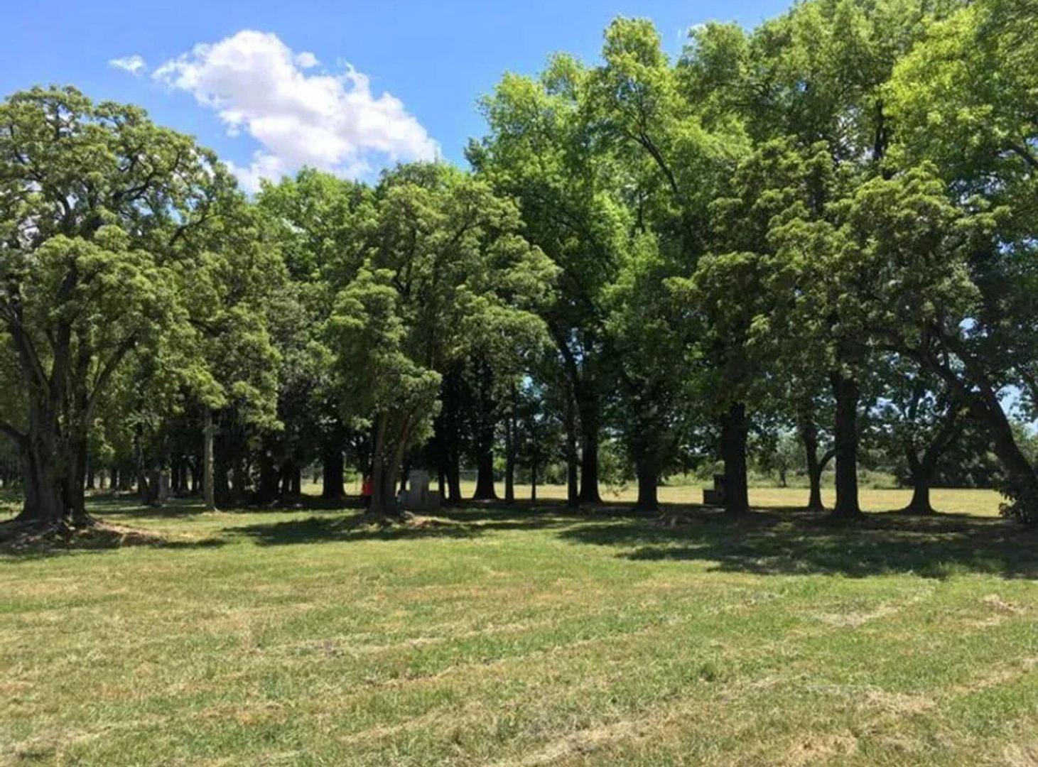Foto de VENTA LOTE SAN MIGUEL BARRI ALTOS DE SAN JOSE, imagen 2