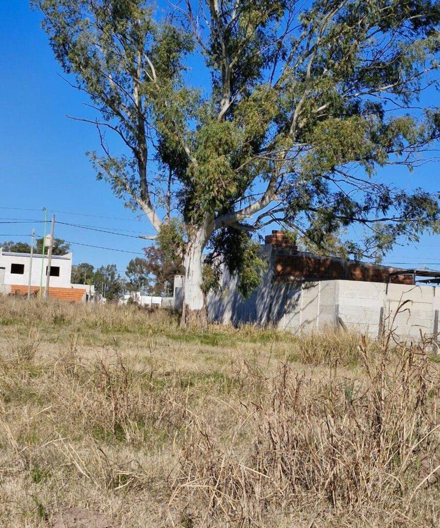 Foto de Terreno En Venta En Campana Barrio Puerta Del Sol, imagen 4