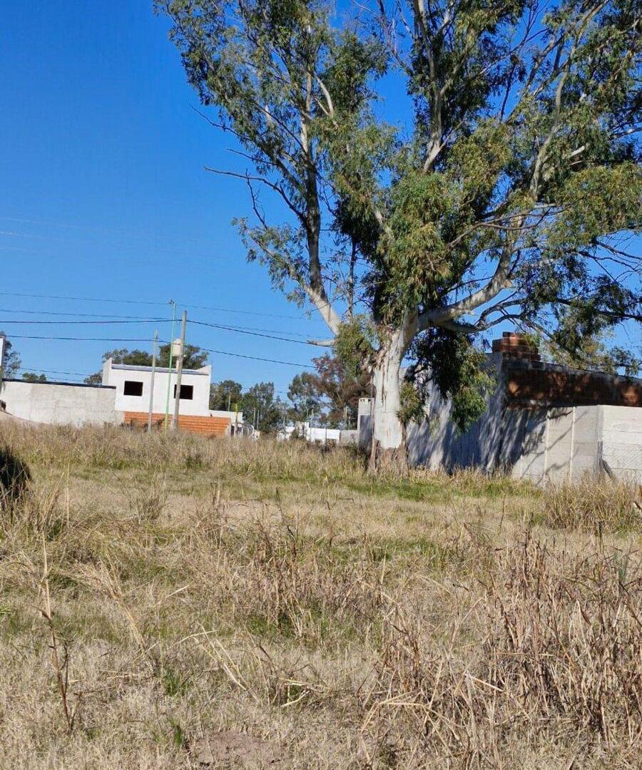 Foto de Terreno En Venta En Campana Barrio Puerta Del Sol, imagen 2