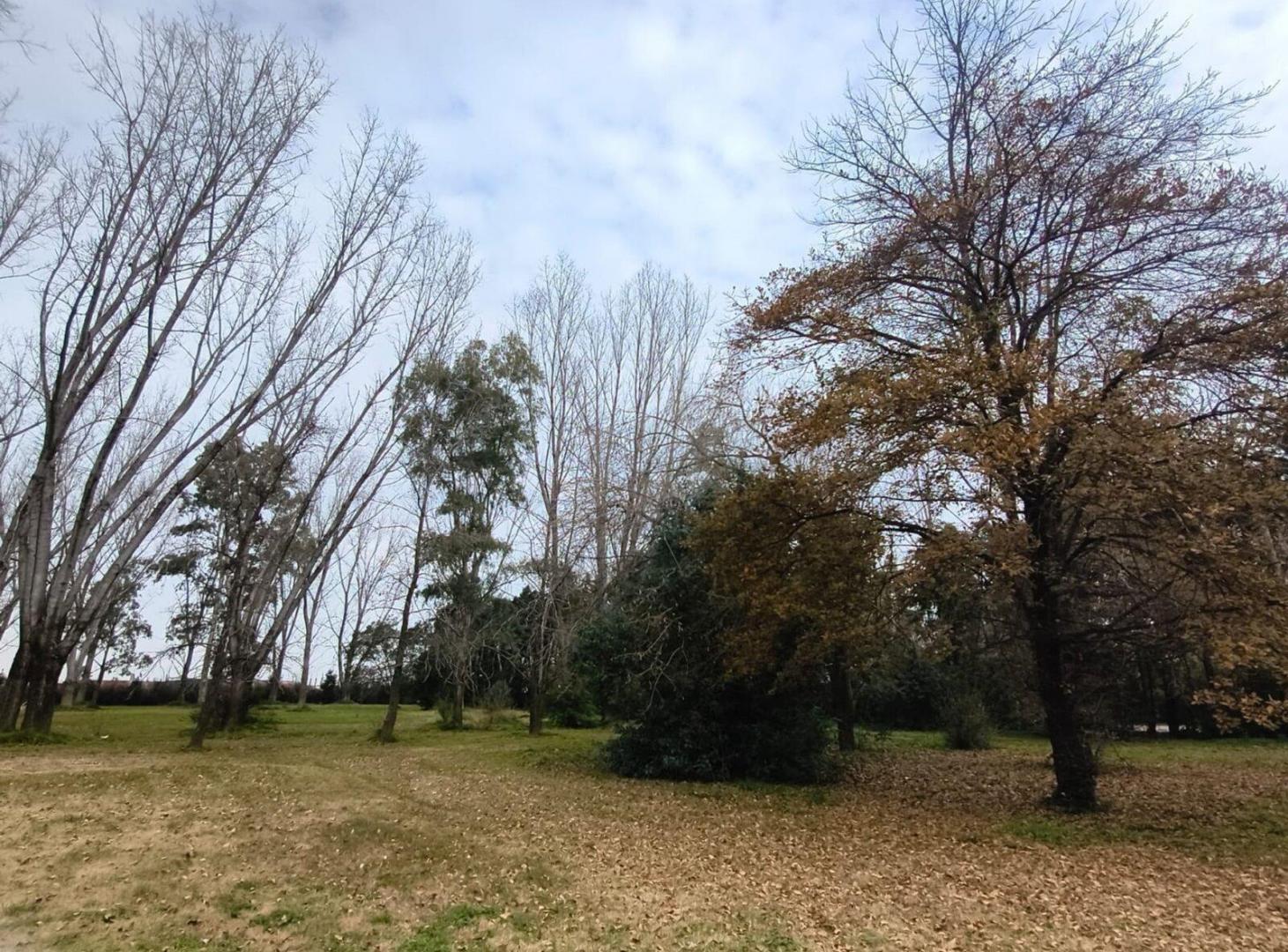 Foto de VENTA LOTE 1 HECTAREA PTE DERQUI, imagen 3