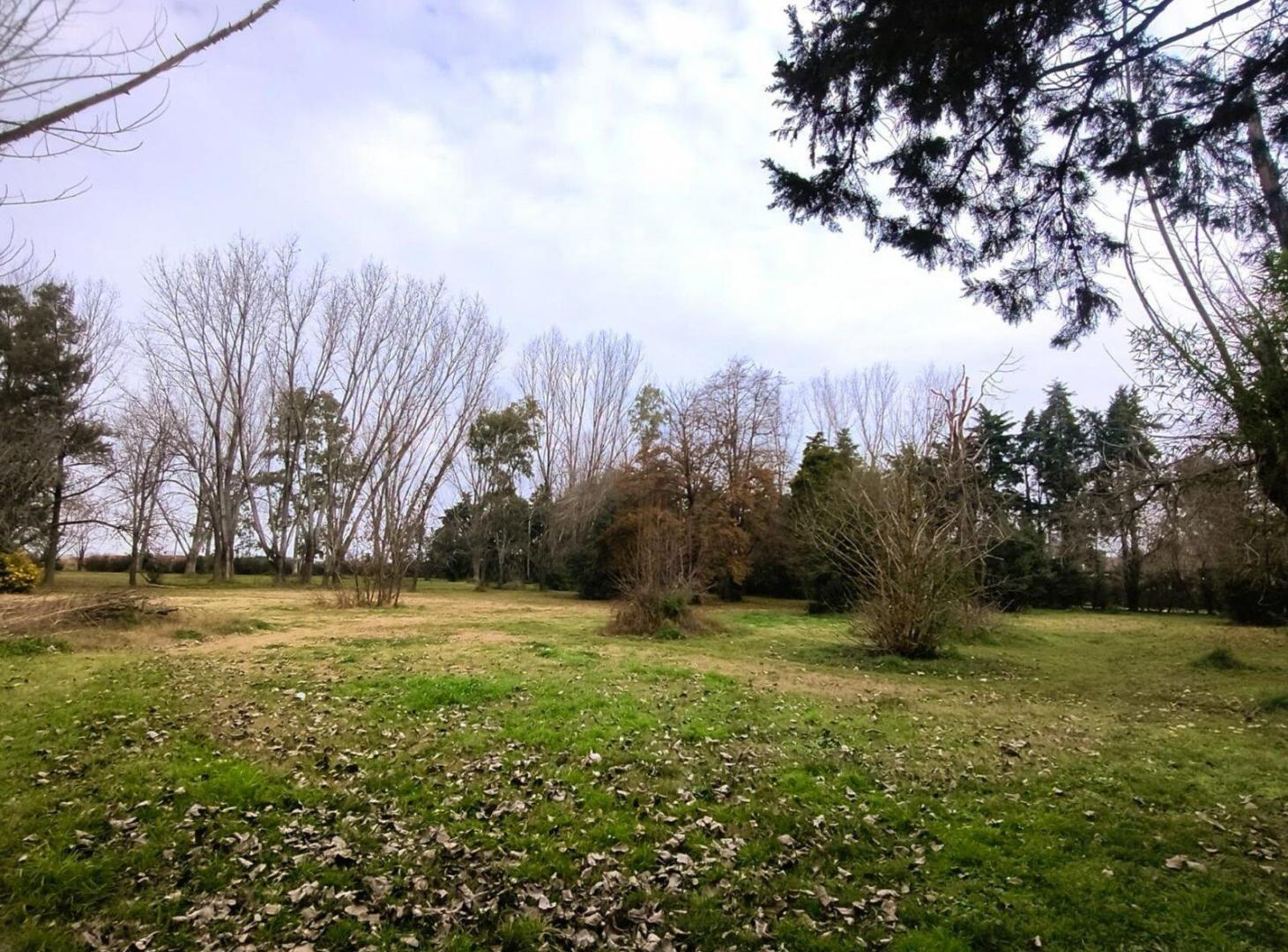 Foto de VENTA LOTE 1 HECTAREA PTE DERQUI, imagen 1