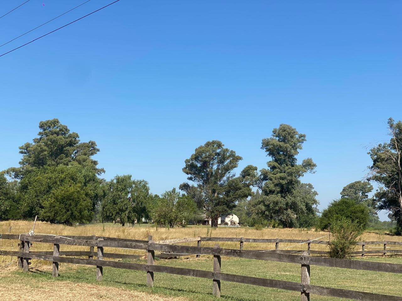 Foto de LOTE AL AGUA VENTA CHACRAS DEL PARANA LIMA, imagen 2