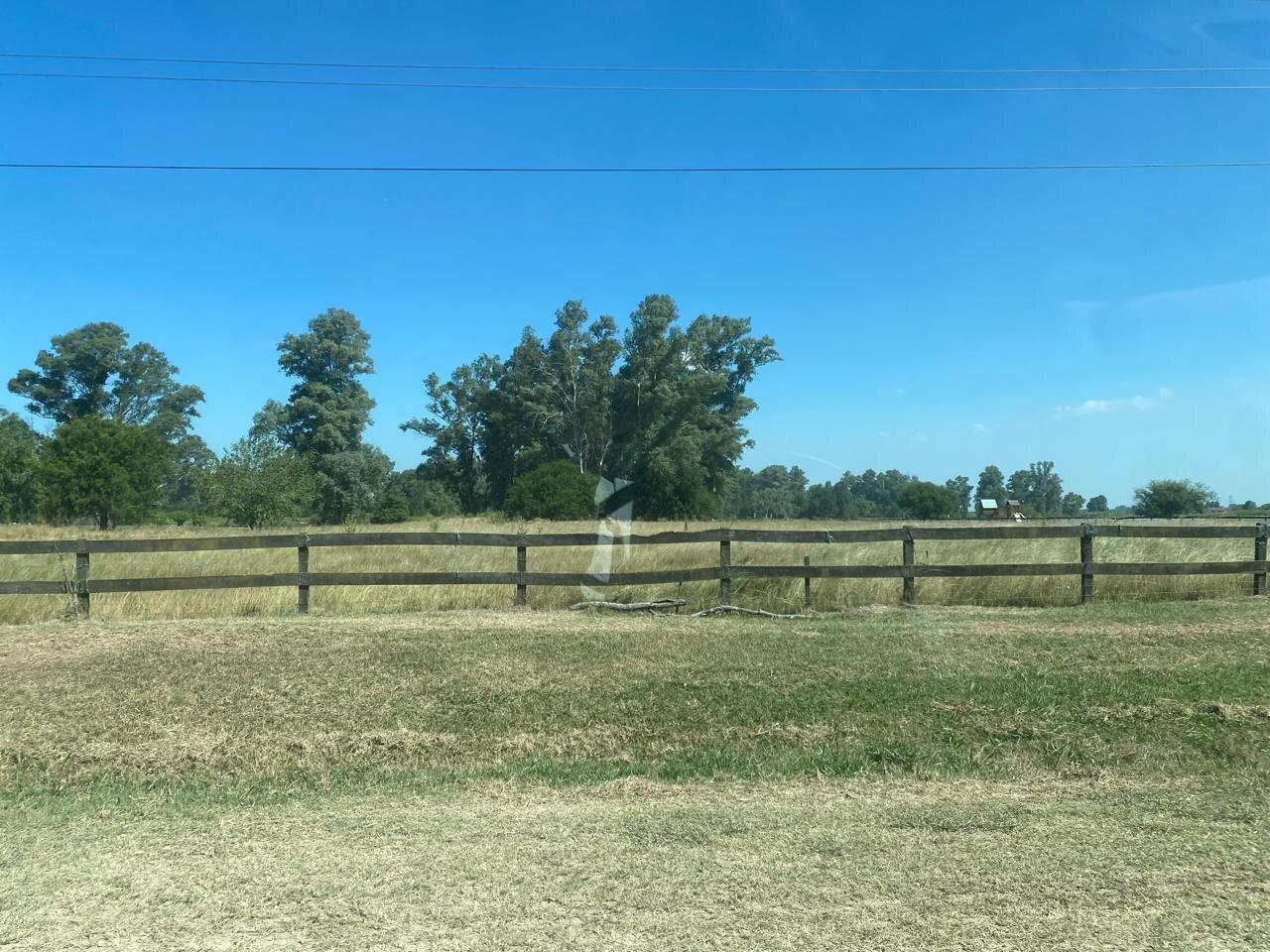 Foto de LOTE AL AGUA VENTA CHACRAS DEL PARANA LIMA, imagen 1