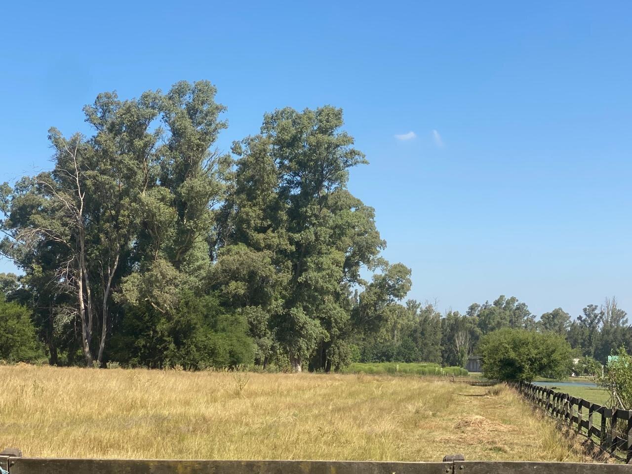 Foto de LOTE AL AGUA VENTA CHACRAS DEL PARANA LIMA, imagen 5