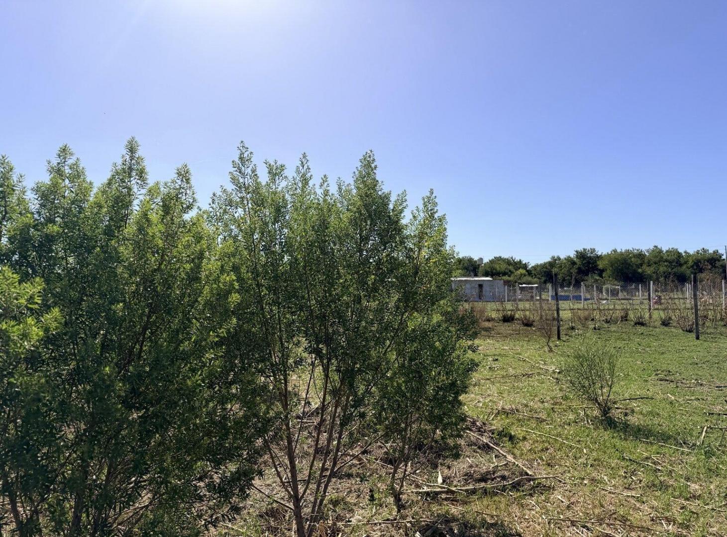 Foto de Terreno 20x55m en General Rodriguez - Oportunidad, imagen 4