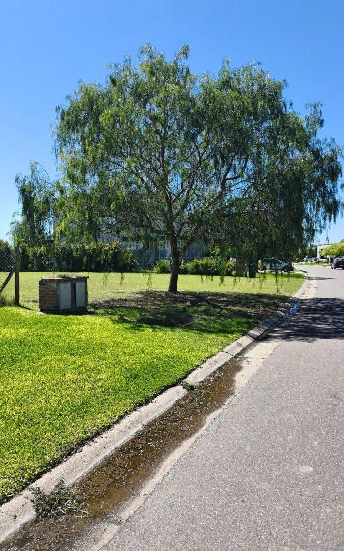 Foto de LOTE AL LAGO en barrio San Matias Área 5, imagen 2