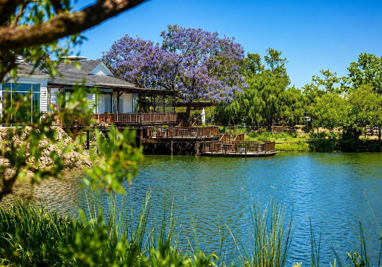 Foto de LOTE A LAGUNA EN VENTA | BARRIO SILVESTRE – NORDELTA, imagen 2